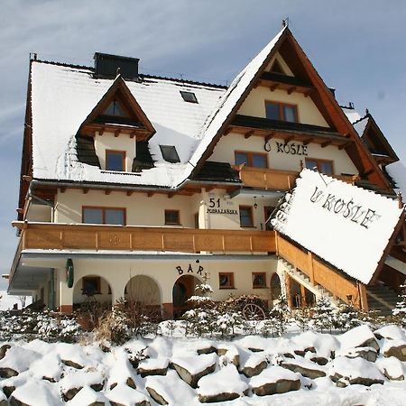 Willa U Kosle Zakopane Exterior photo
